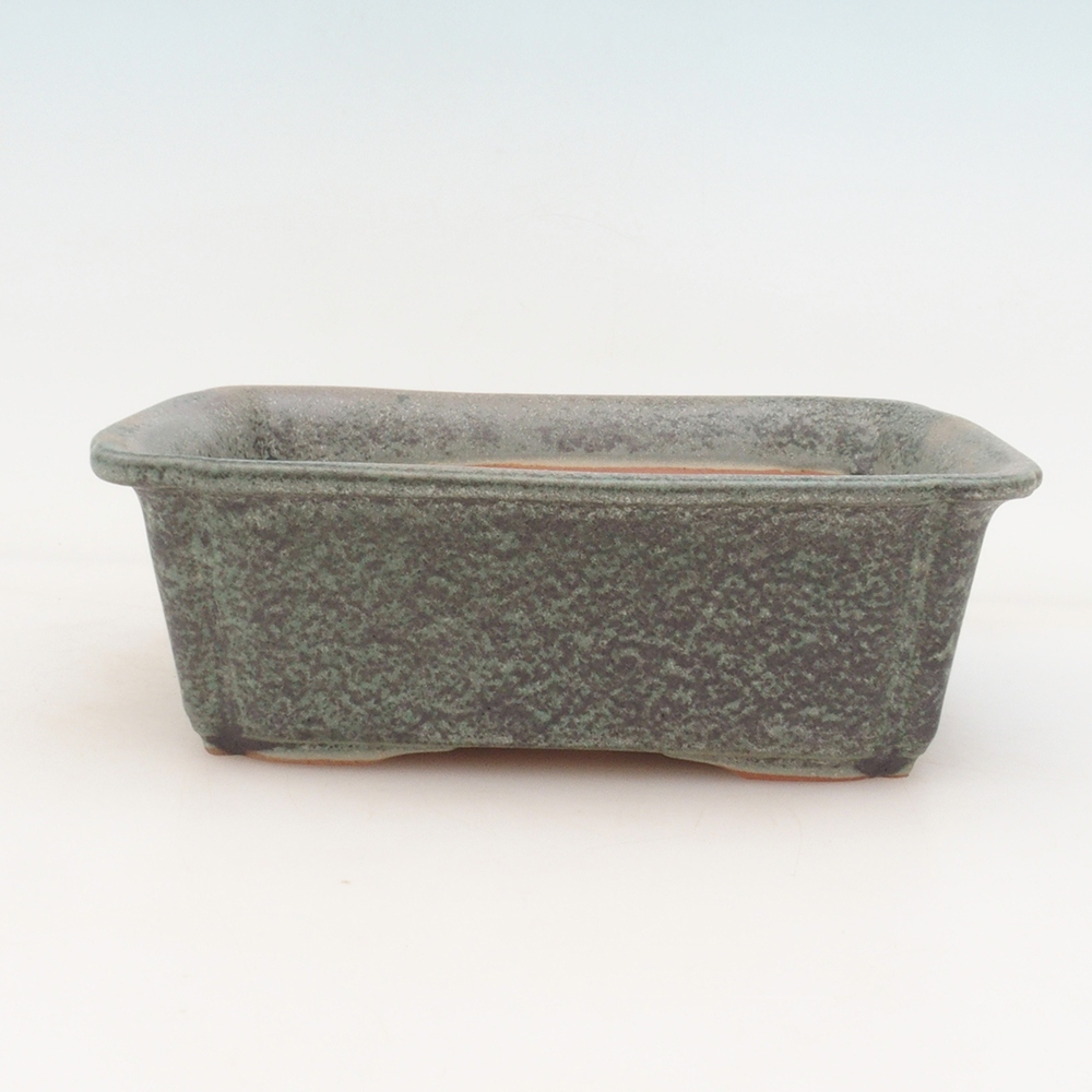 Bol à bonsaï H50 - 17 x 12,5 x 5,5 cm.