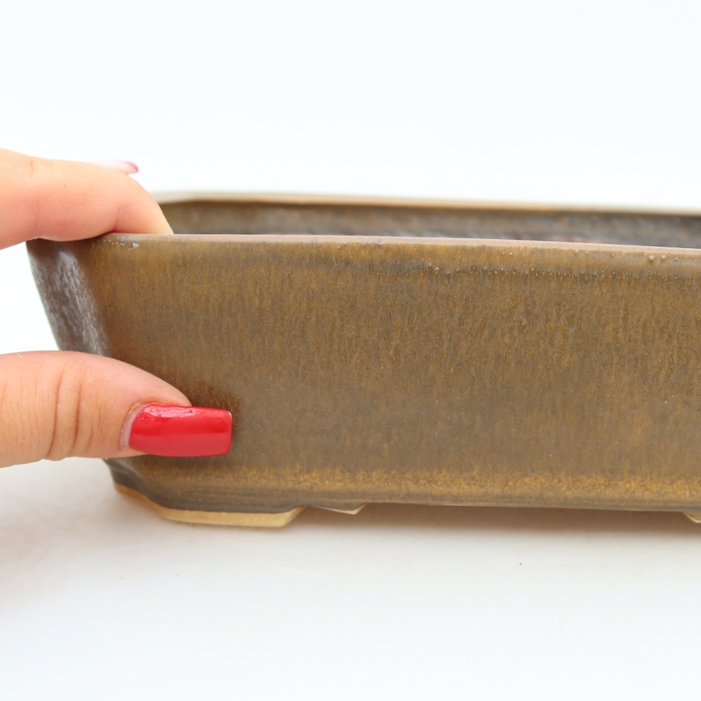 Pot à bonsaï en céramique 21,5 x 18 x 6 cm, couleur marron