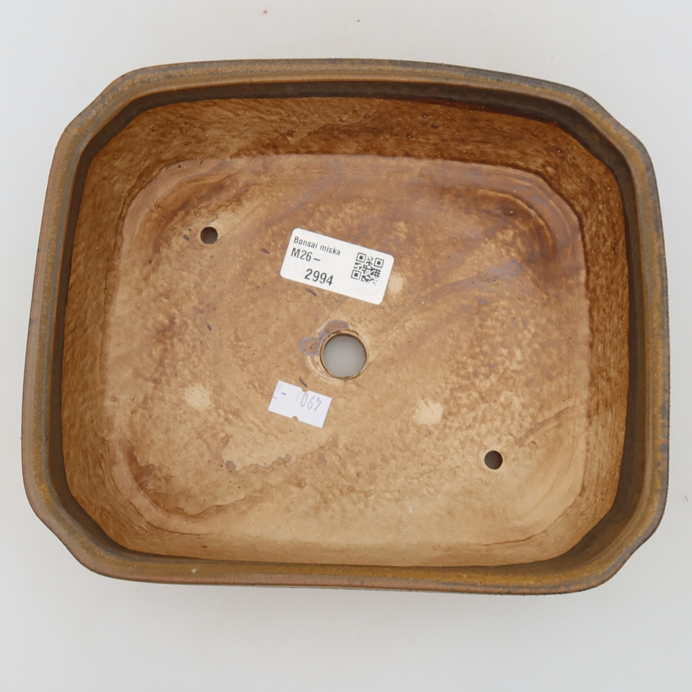 Pot à bonsaï en céramique 21,5 x 18 x 6 cm, couleur marron