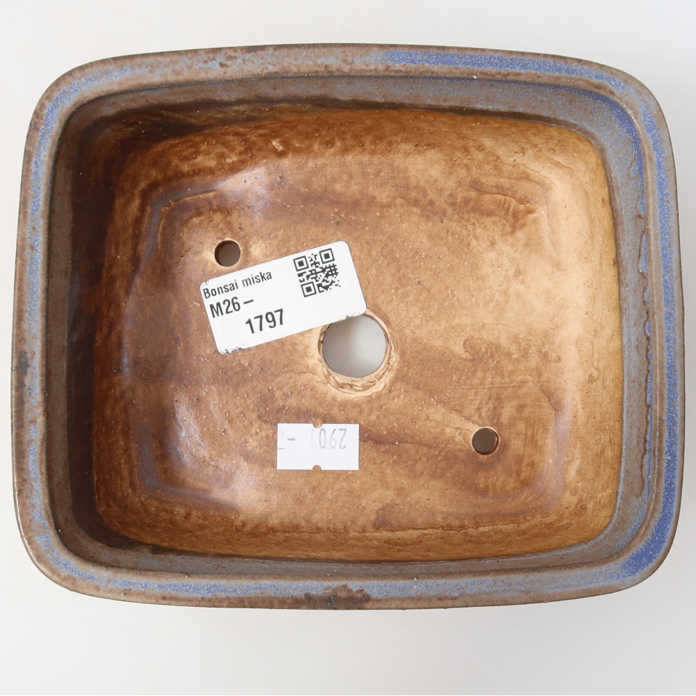 Pot à bonsaï en céramique 15 x 13 x 4,5 cm, couleur bleue