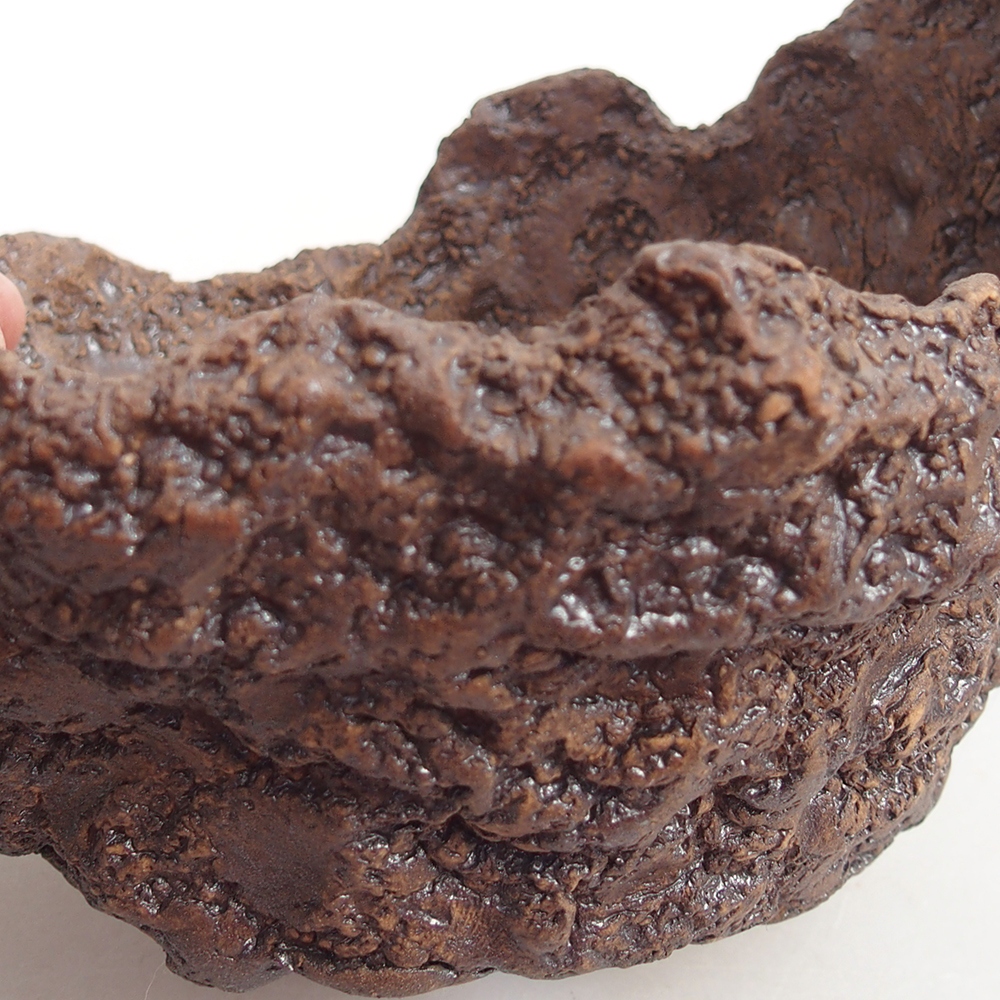 Coquille en céramique 14 x 12 x 13 cm , couleur marron