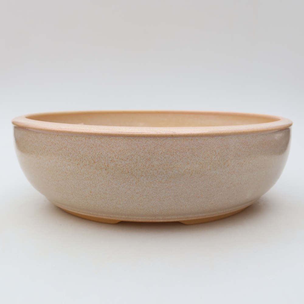 Pot à bonsaï en céramique 25,5 x 25,5 x 8 cm, couleur beige