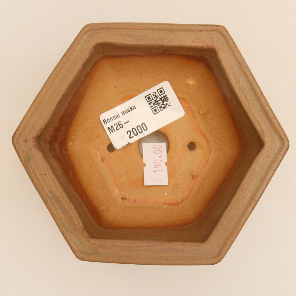 Pot à bonsaï en céramique 12 x 10,5 x 4 cm, couleur grise