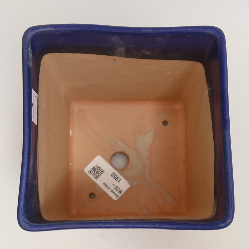 Pot à bonsaï en céramique 13 x 13 x 13,5 cm, couleur bleue
