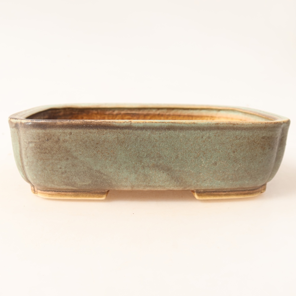 Pot à bonsaï en céramique 18 x 14 x 4,5 cm, couleur verte