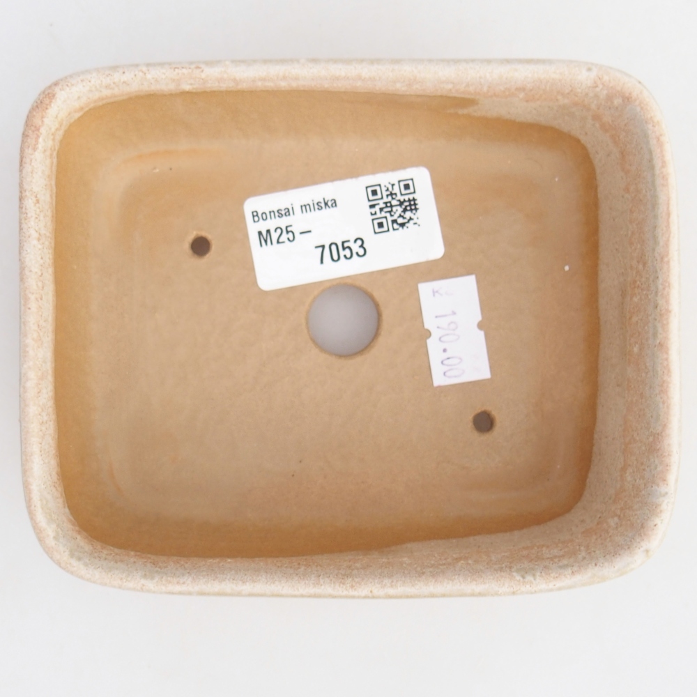 Bol à bonsaï en céramique 12,5 x 9,5 x 3,5 cm, couleur beige