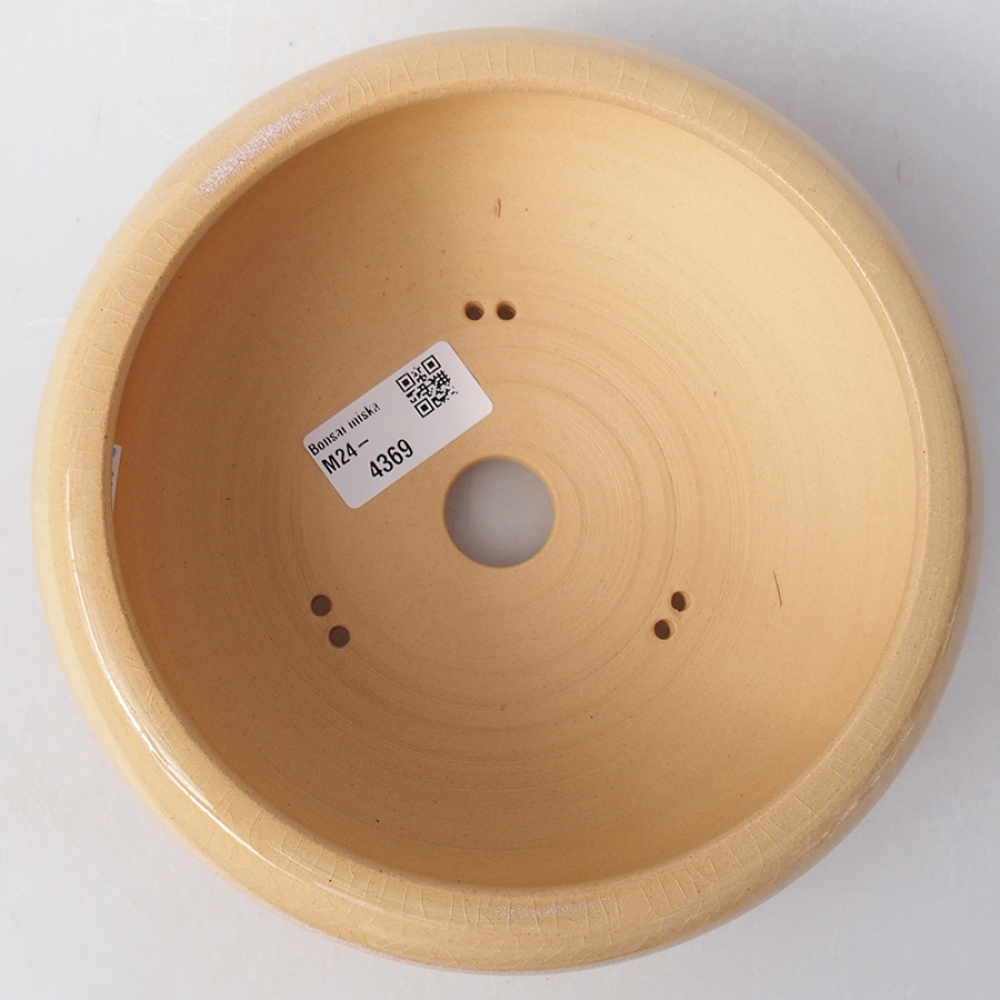 Bol à bonsaï en céramique 18 x 18 x 6 cm, couleur beige