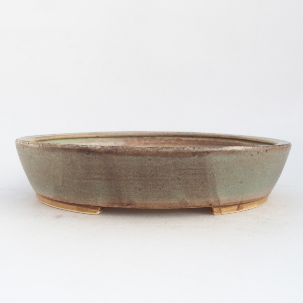 Bol à bonsaï en céramique 21 x 19 x 4,5 cm, vert