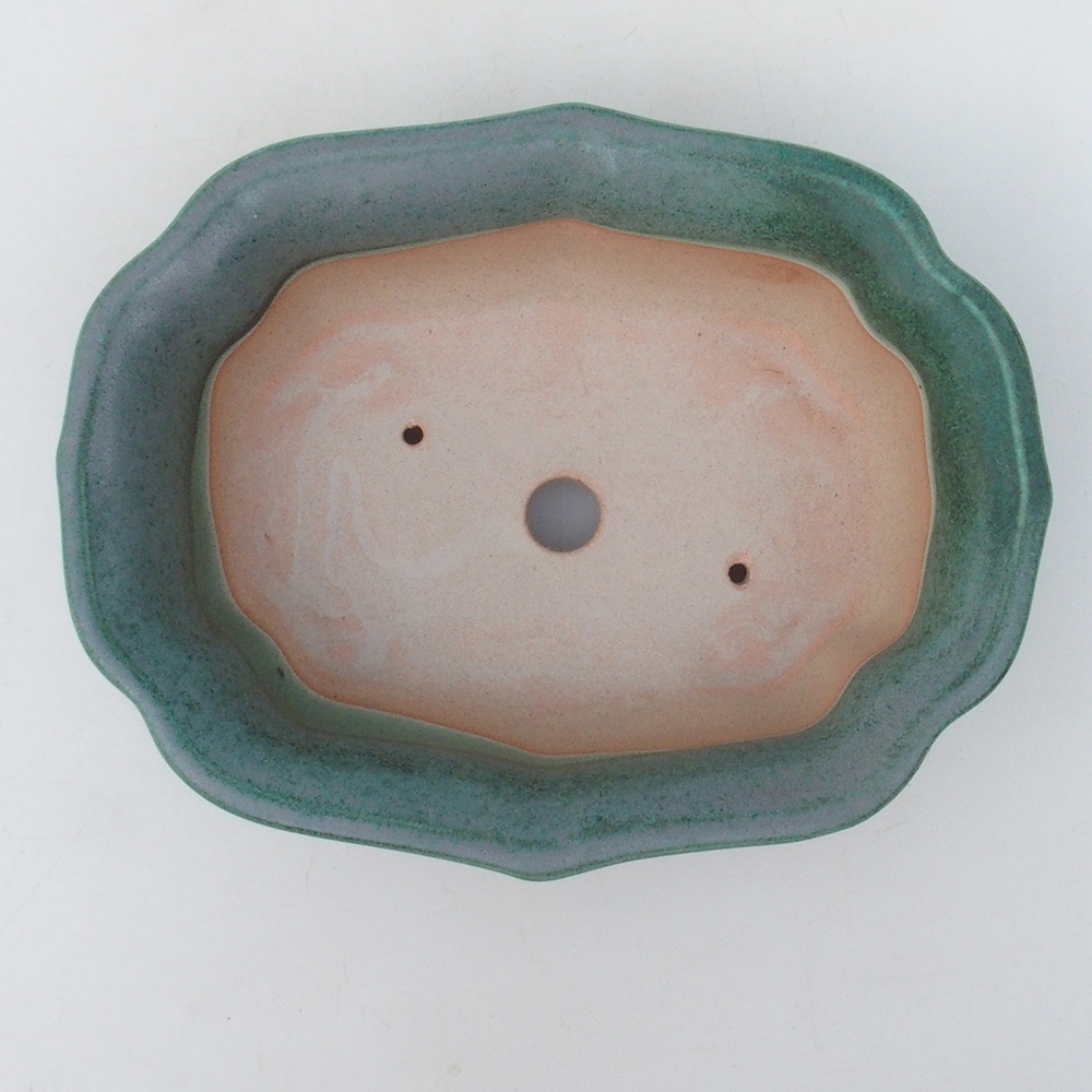Bol à bonsaï H51 - 18 x 14 x 5 cm - vert