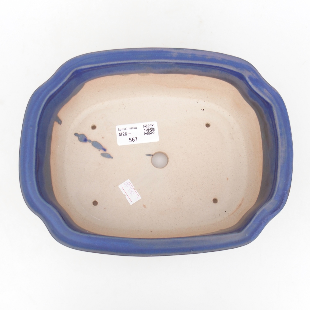 Bol à bonsaï en céramique 22 x 18 x 7,5 cm, couleur bleu