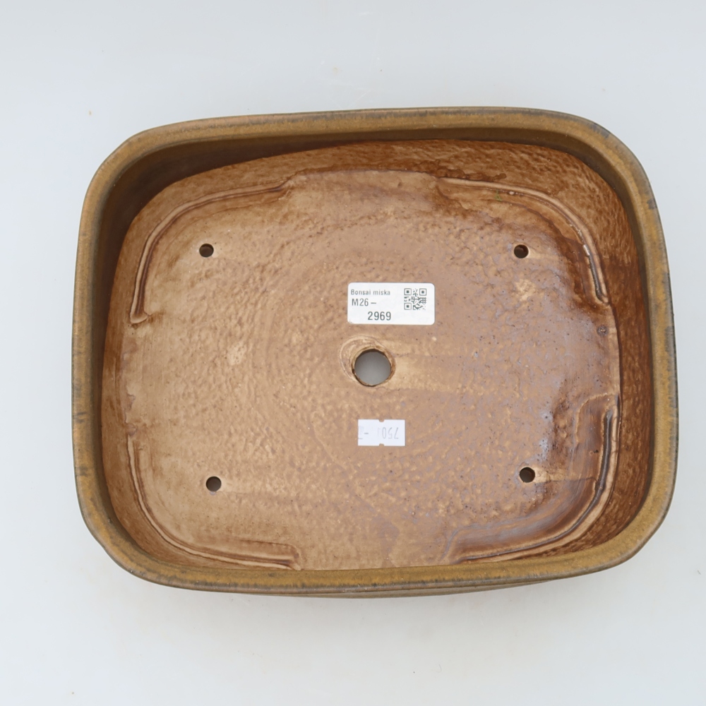 Pot à bonsaï en céramique 24,5 x 20,5 x 6,5 cm, couleur marron