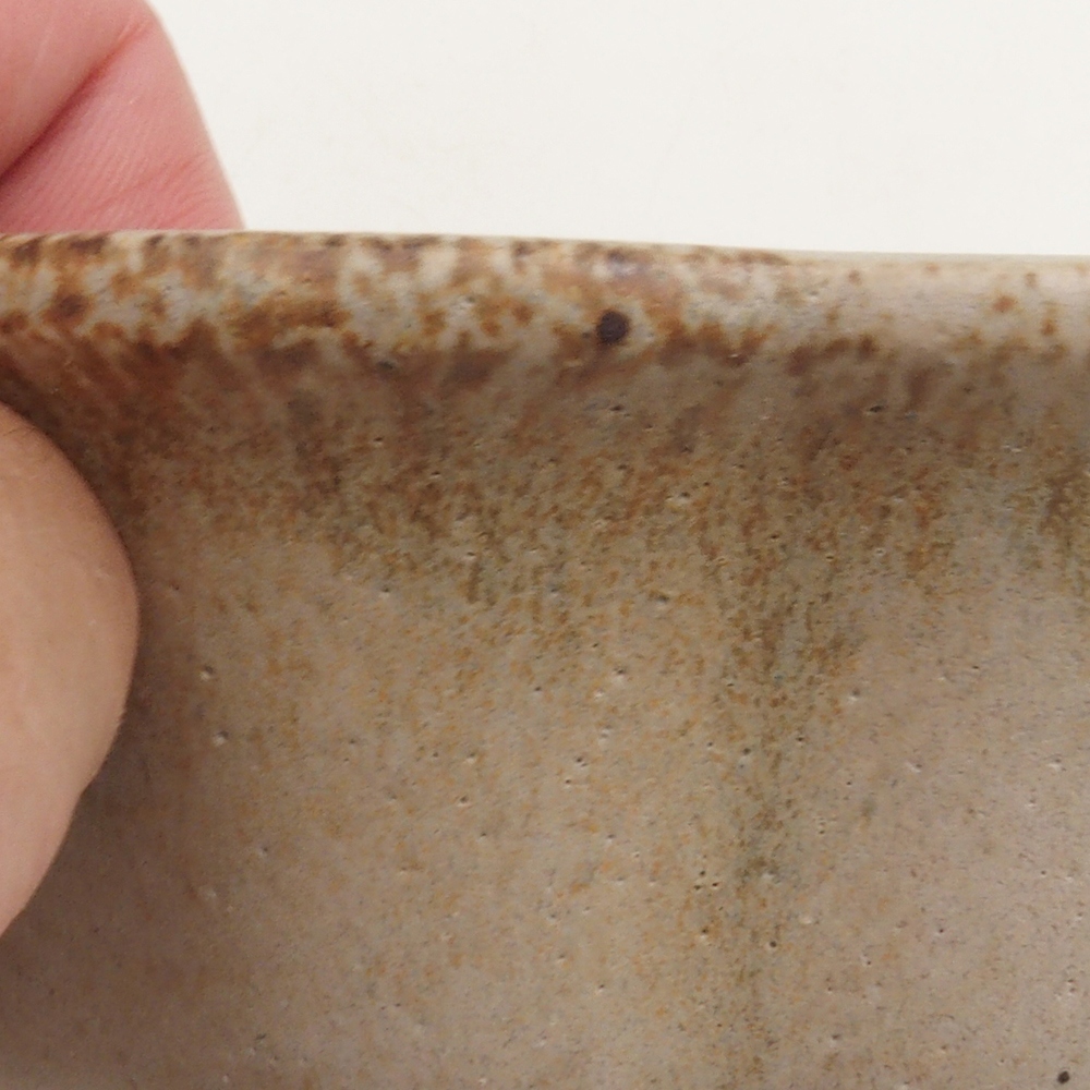 Coupe bonsaï H06 - 14,5 x 14,5 x 5 cm - beige