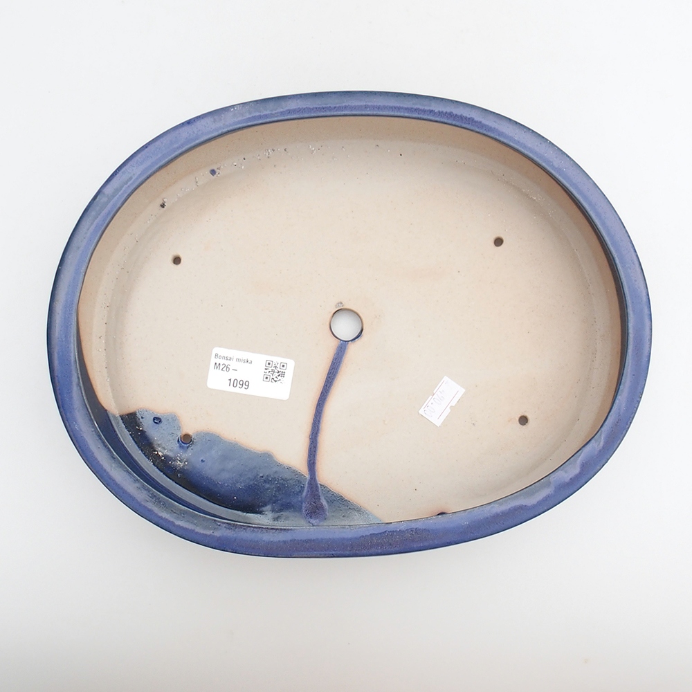 Bol à bonsaï en céramique 26 x 20 x 5 cm, couleur bleu