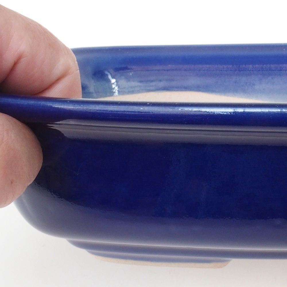 Coupe Bonsaï H09 - 30 x 23 x 7,5 cm - bleu