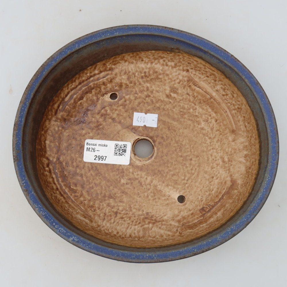 Pot à bonsaï en céramique 21 x 19,5 x 5 cm, couleur bleue
