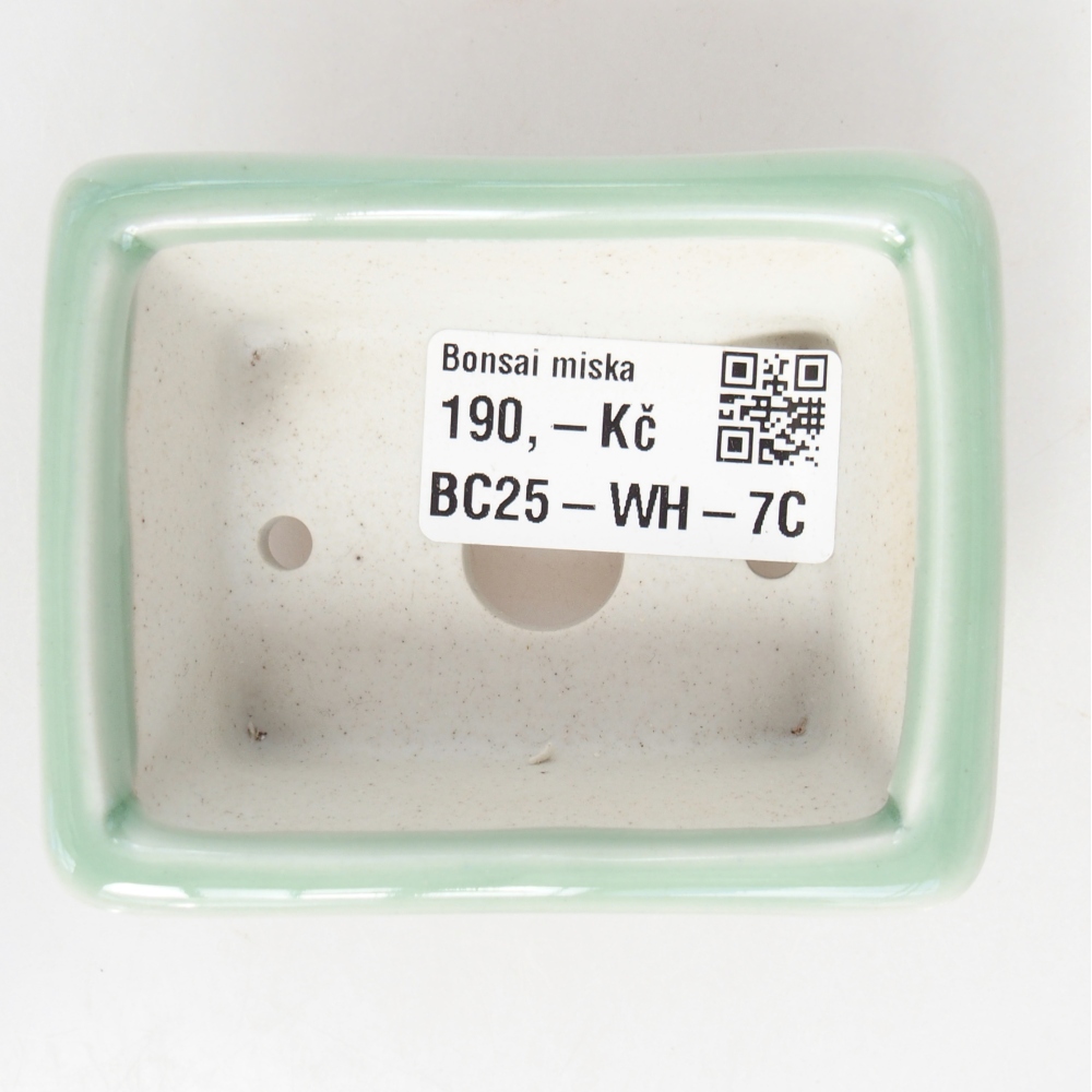 Mini bol bonsaï 8 x 6 x 3 cm, vert