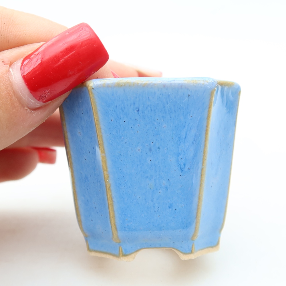 Bol à bonsaï en céramique 4 x 4 x 4 cm, couleur bleu