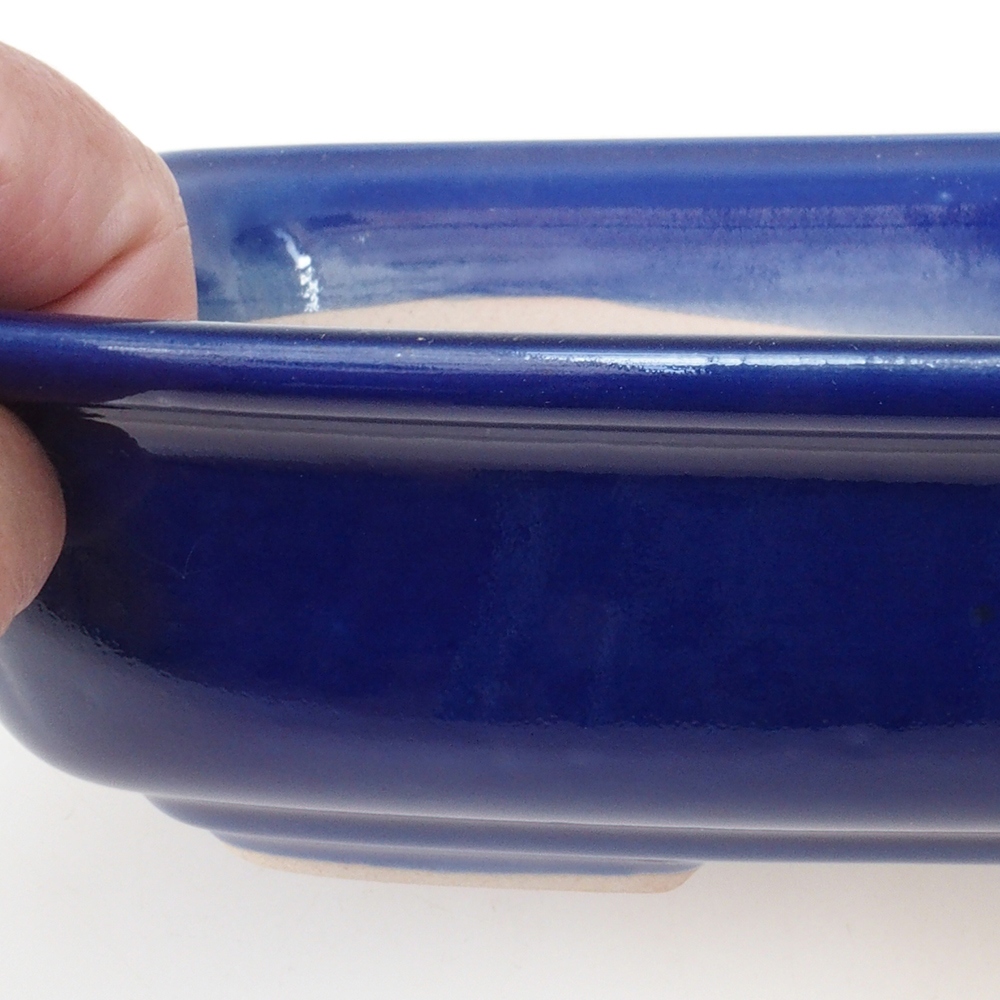 Coupe bonsaï H08 - 25 x 19,5 x 6 cm - bleu