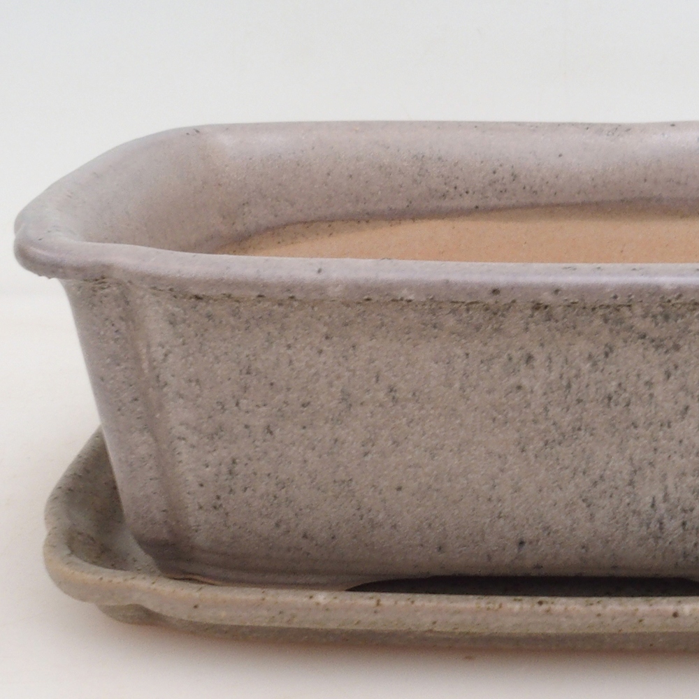 Bol Bonsaï + soucoupe H50 - beige