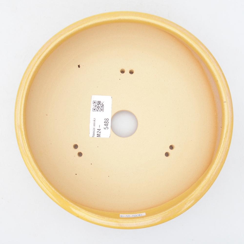 Bol à bonsaï en céramique 18,5 x 18,5 x 6 cm, jaune