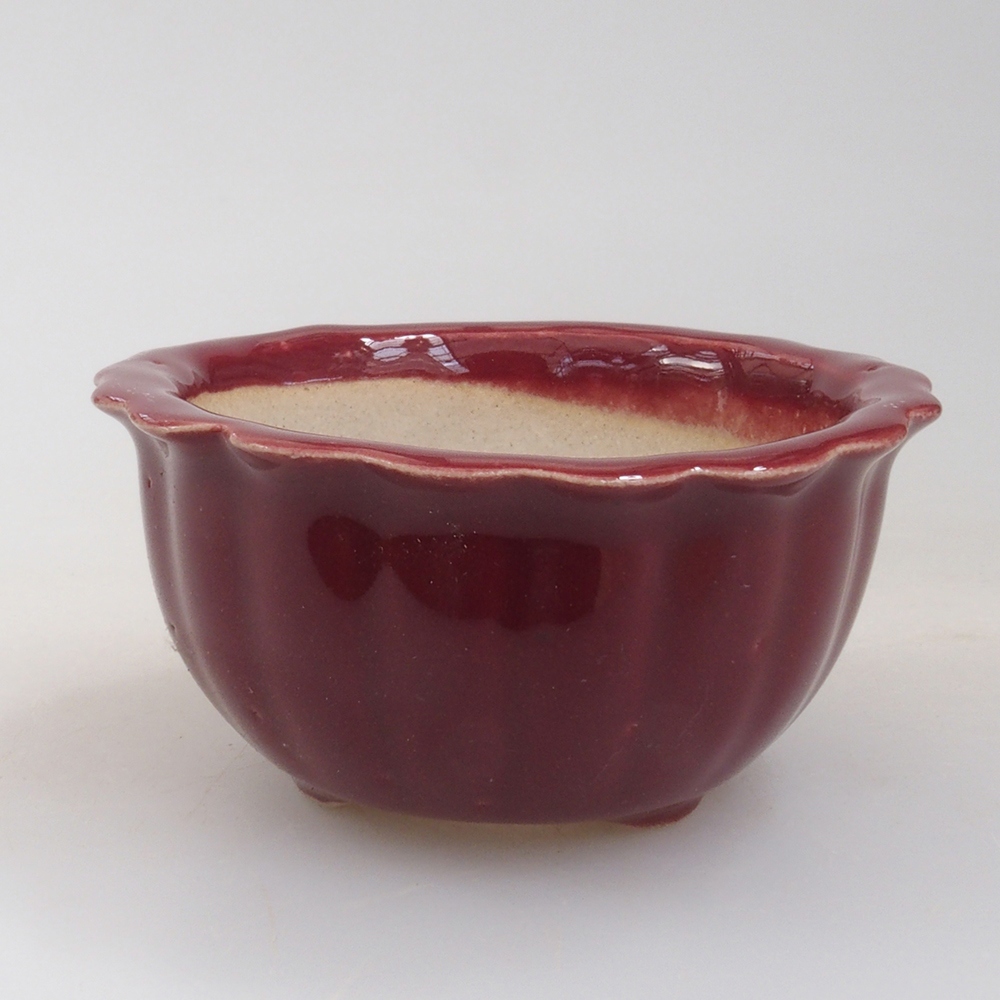 Mini bol bonsaï 6,5 x 6,5 x 3,5 cm, bordeaux