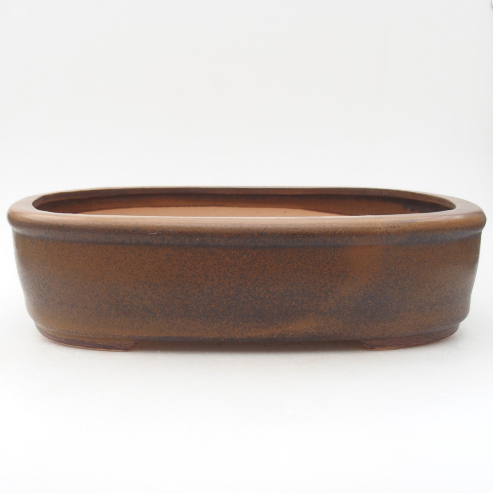 Bol à bonsaï en céramique 32 x 25 x 8 cm, brun