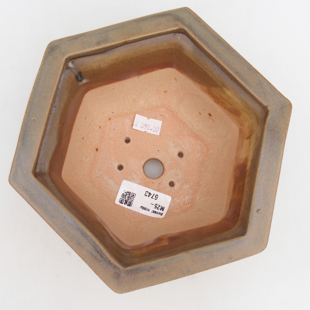 Bol à bonsaï en céramique 18,5 x 16,5 x 9 cm, brun