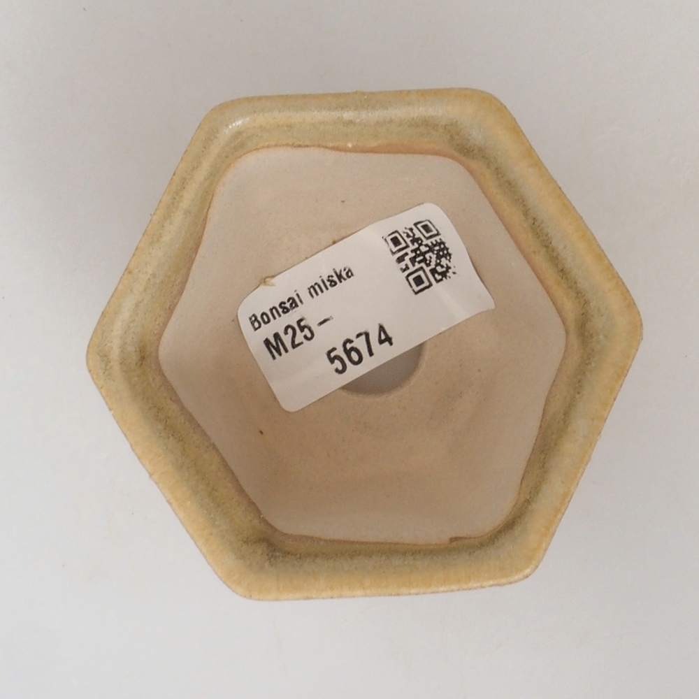 Mini bol bonsaï 7 x 7 x 5 cm, brun