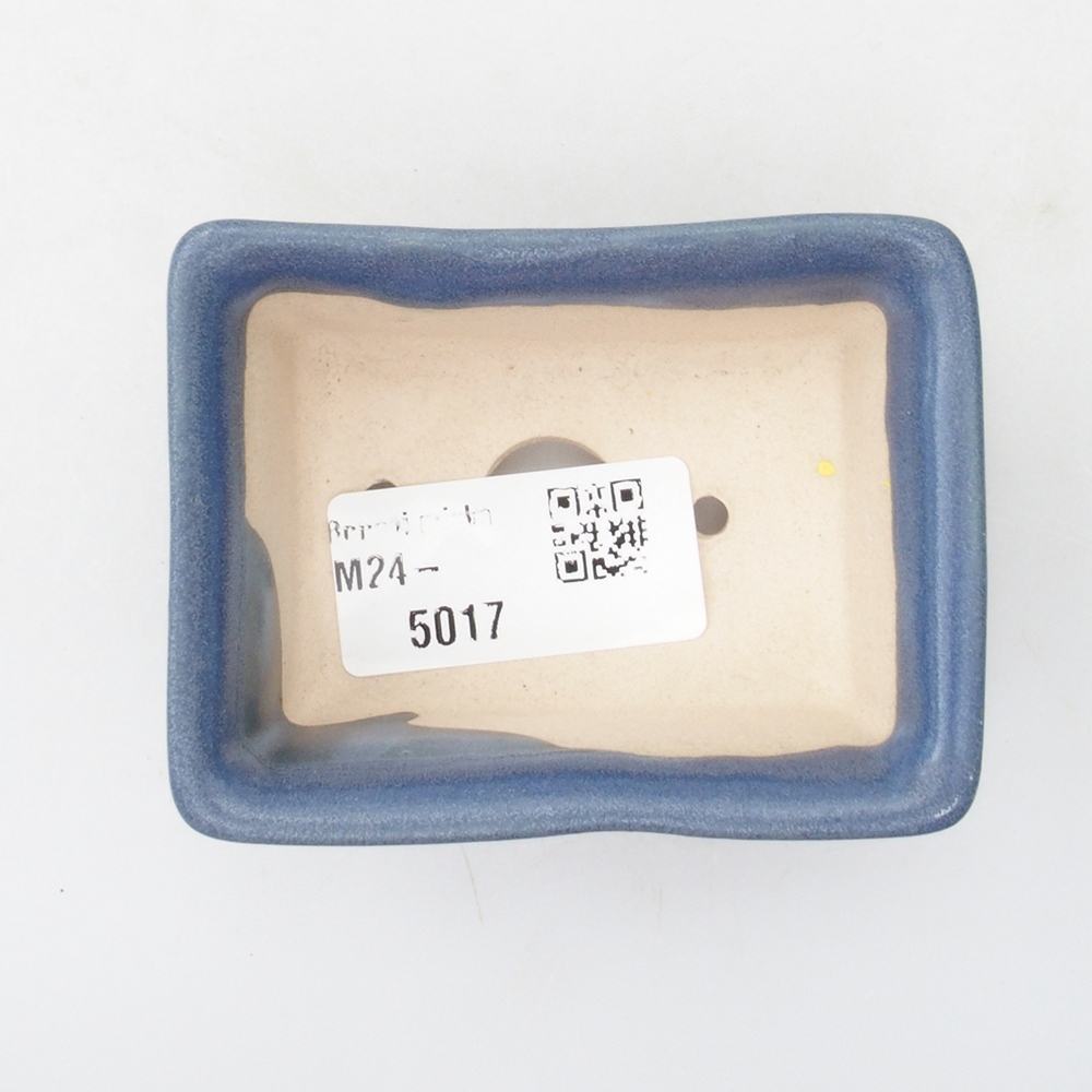 Mini bol bonsaï 8 x 6 x 3 cm, bleu