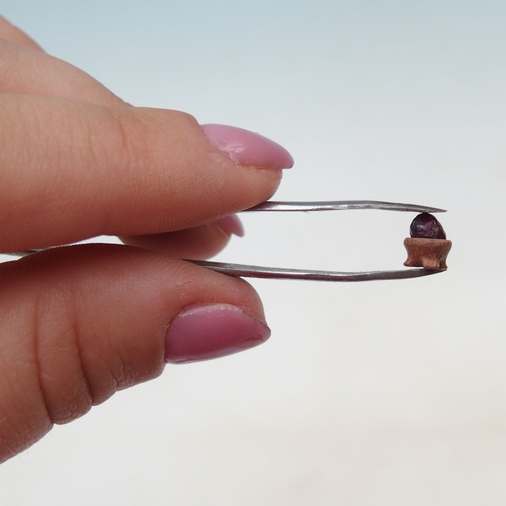 Suiseki - Pierre avec DAI (base en bois)