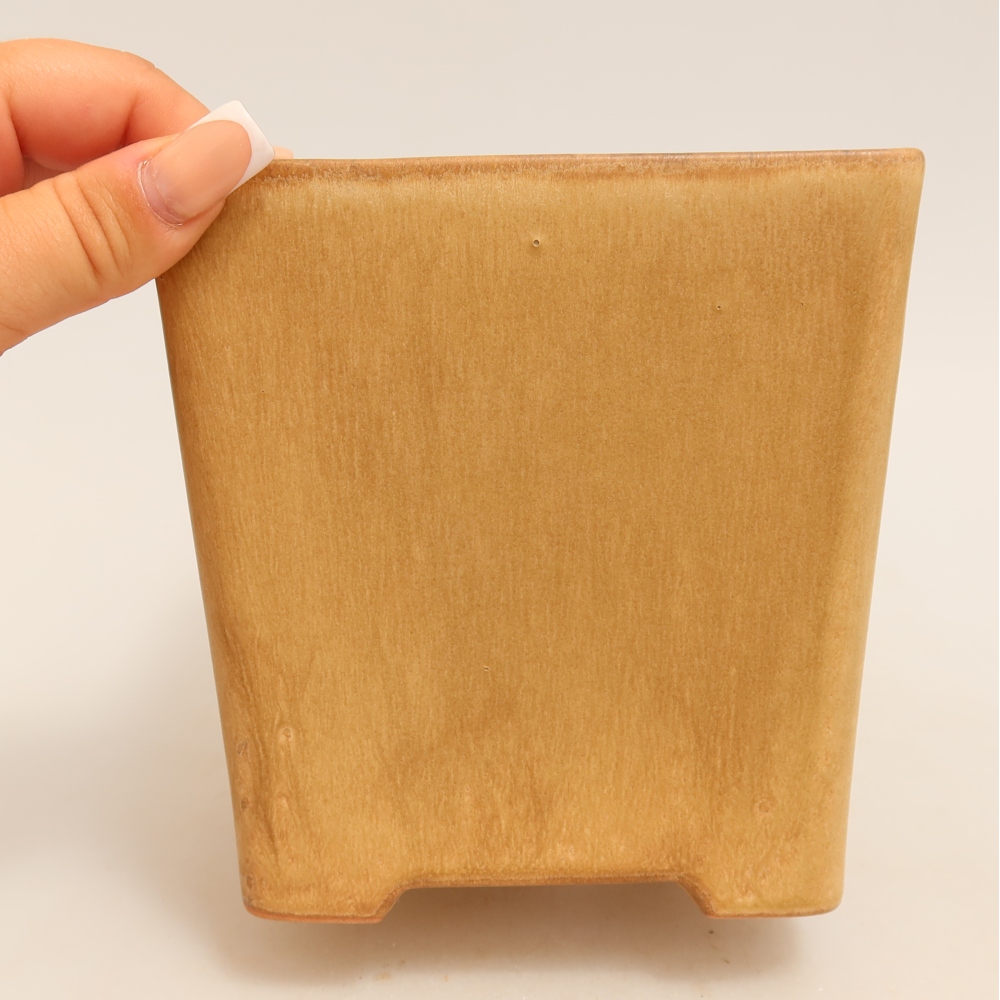 Bol à bonsaï en céramique 13 x 13 x 13,5 cm, couleur beige