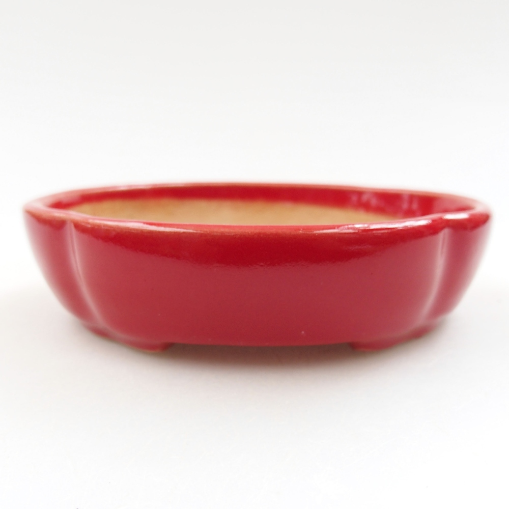 Bol à bonsaï en céramique 22 x 17 x 5 cm, vert