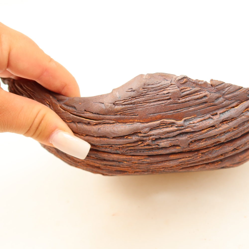 Coquille en céramique  22,5 x 16 x 8 cm, couleur marron