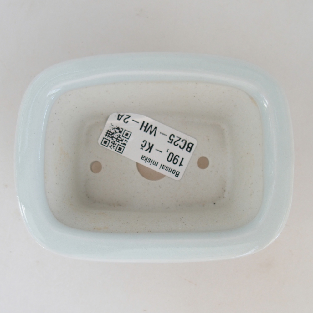 Mini bol bonsaï 10 x 7,5 x 4 cm, couleur blanc