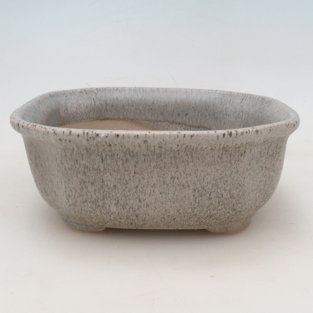 Bol Bonsaï + soucoupe H31 - beige