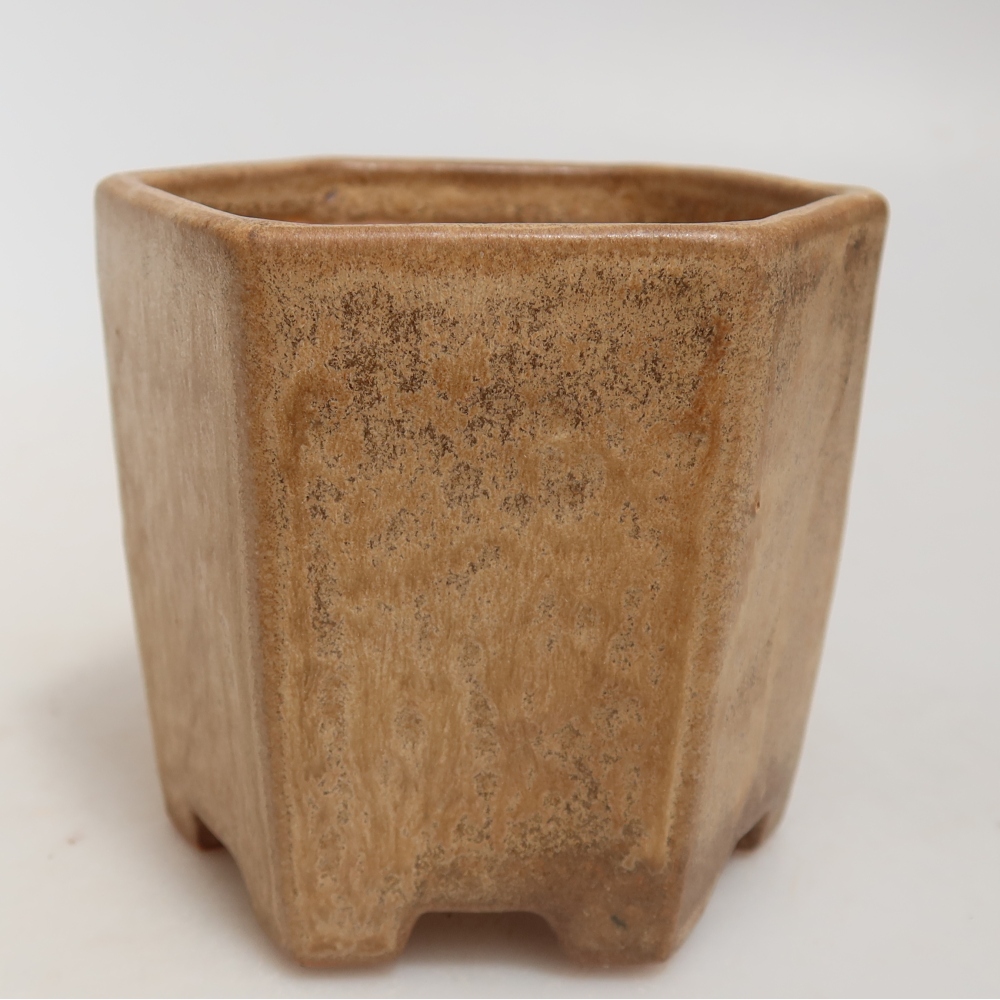 Pot à bonsaï en céramique 9 x 8,5 x 8 cm, couleur beige