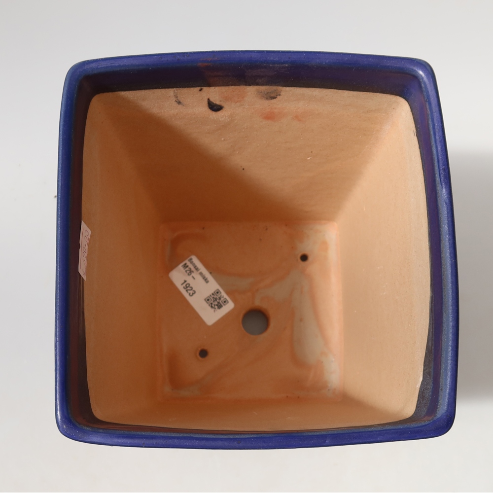 Pot à bonsaï en céramique 15 x 15 x 19,5 cm, couleur bleue