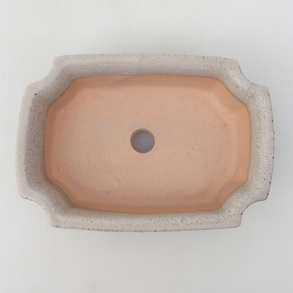 Coupe bonsaï H17 - 15 x 10 x 4 cm - beige