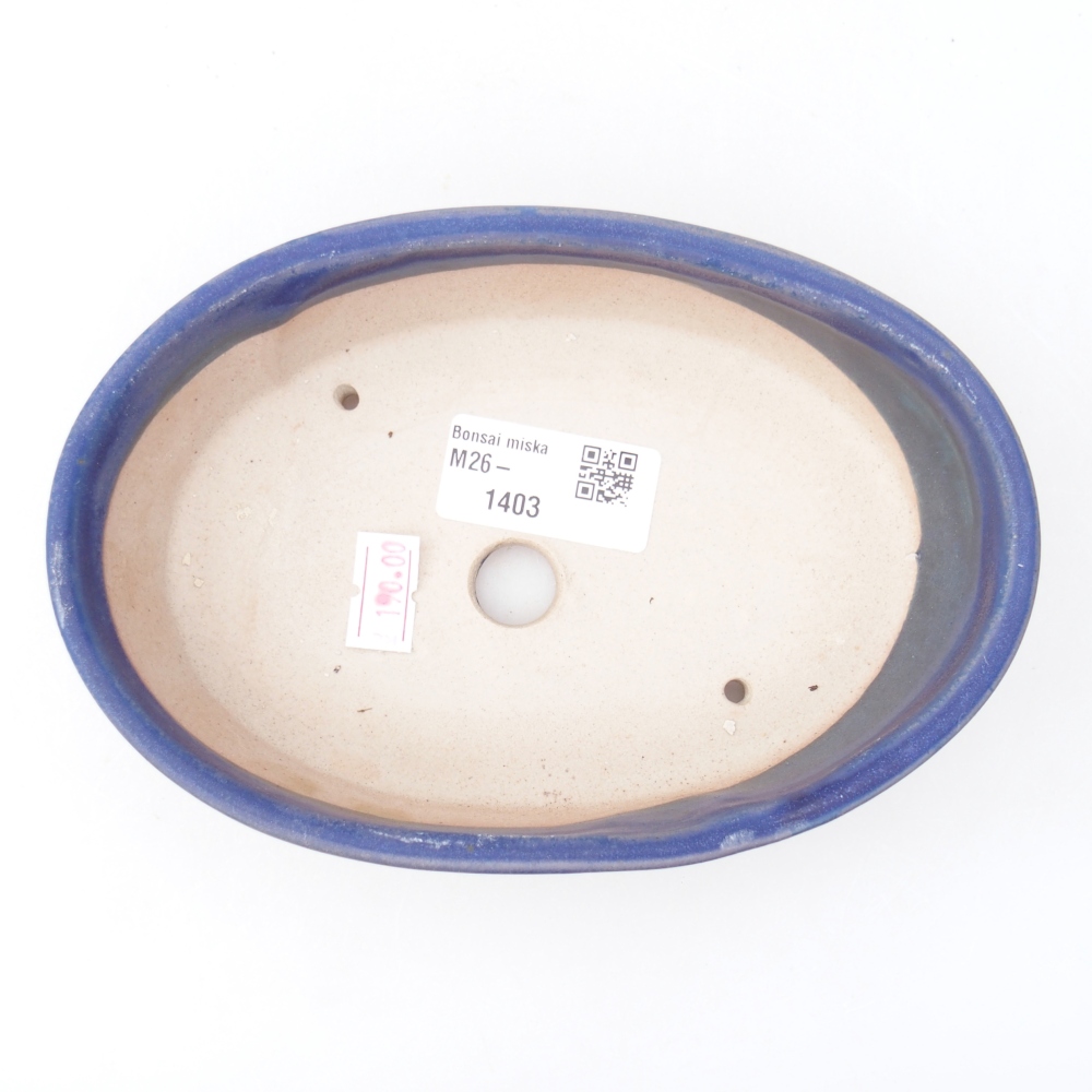 Bol à bonsaï en céramique 16,5 x 11,5 x 4,5 cm, couleur bleu