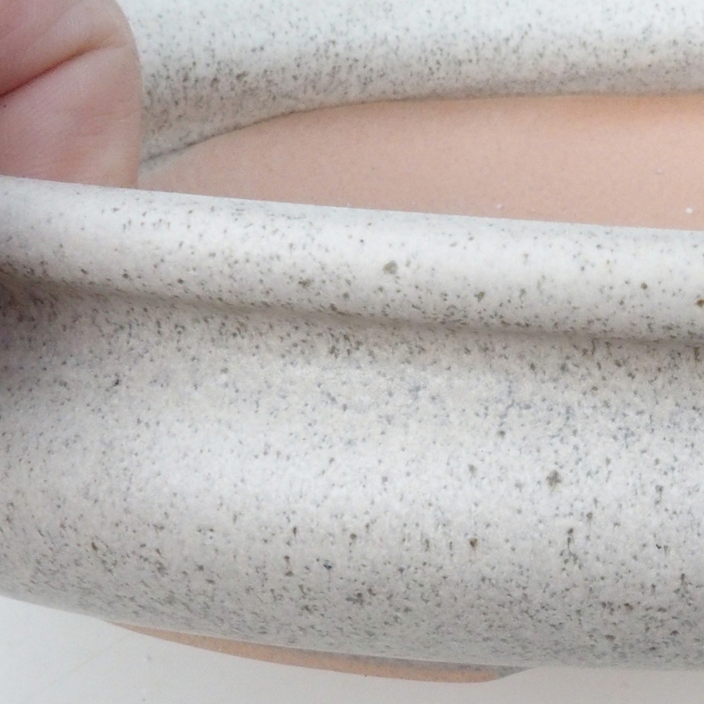 Coupe bonsaï H15 - 25,5 x 17,5 x 6 cm - beige