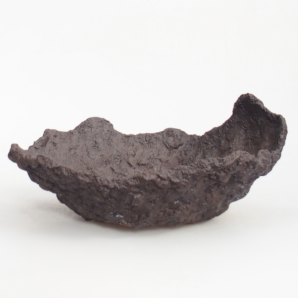 Coquille en céramique 25 x 19 x 12 cm , couleur marron