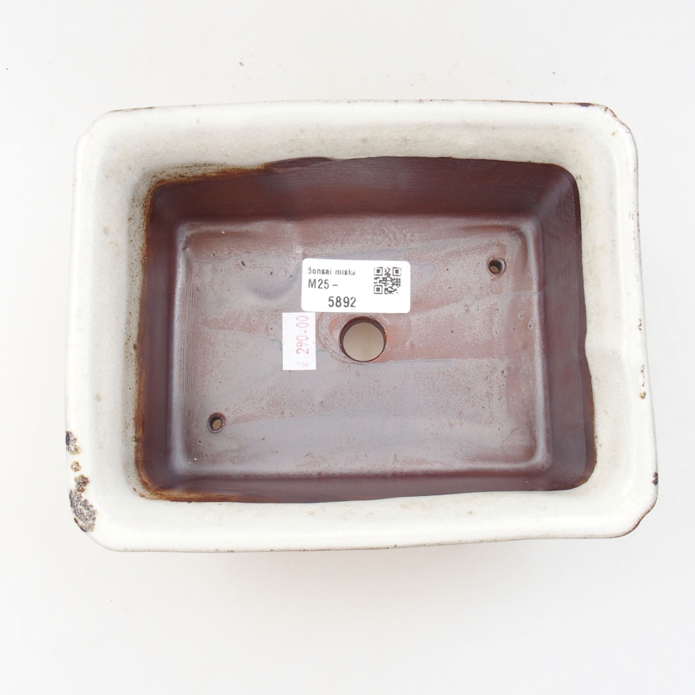 Bol à bonsaï en céramique 22 x 17 x 5 cm, vert