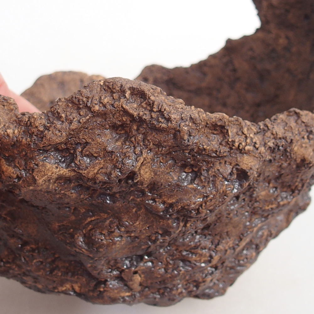 Coquille en céramique 14 x 13 x 12 cm , couleur marron