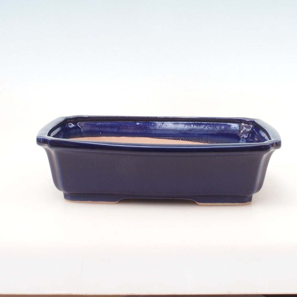 Bol Bonsaï + soucoupe H07 - 30 x 20,5 x 8 cm - bleu