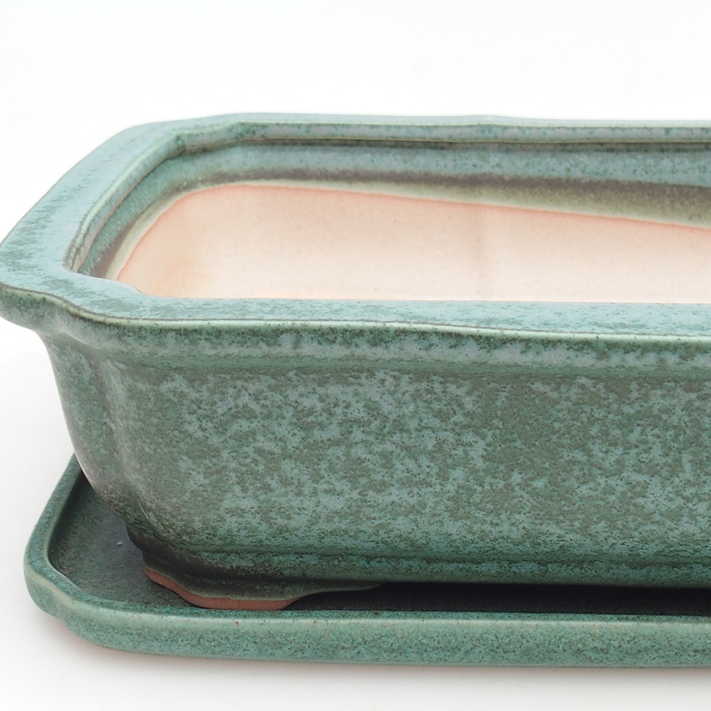 Bol Bonsaï + soucoupe H07 - 30 x 20,5 x 8 cm.