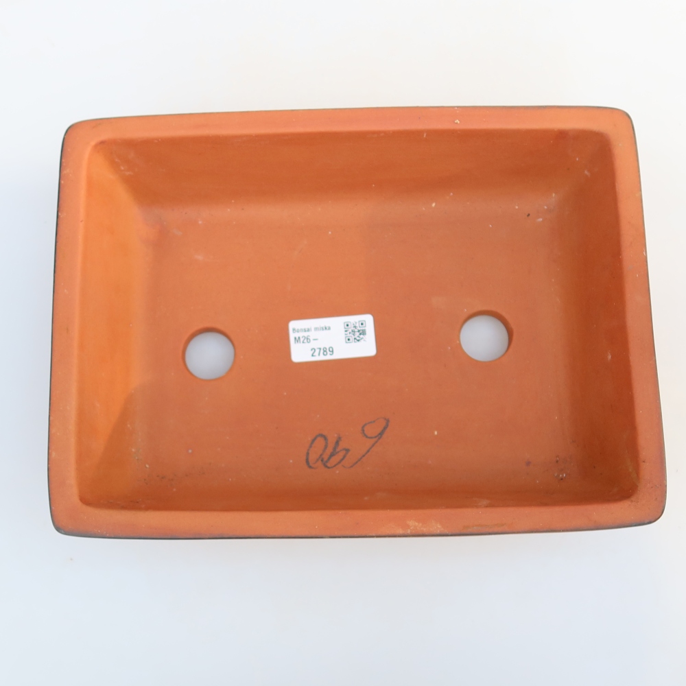 Bol en céramique  25,5 x 19 x 7 cm , couleur brique