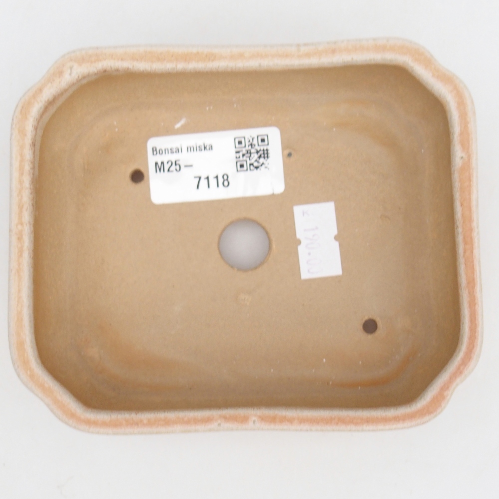 Bol à bonsaï en céramique 12 x 10 x 4 cm, couleur beige