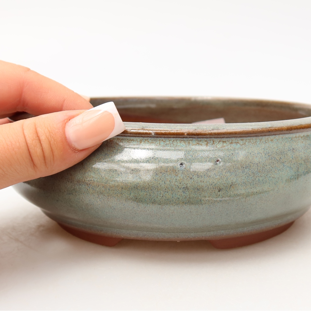 Pot à bonsaï en céramique 16 x 16 x 5,5 cm, couleur verte