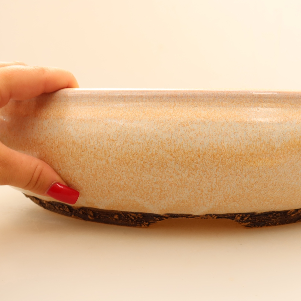 Pot à bonsaï en céramique 36,5 x 36,5 x 9,5 cm, couleur beige - RETRAIT SUR PLACE UNIQUEMENT ou expédition par palette