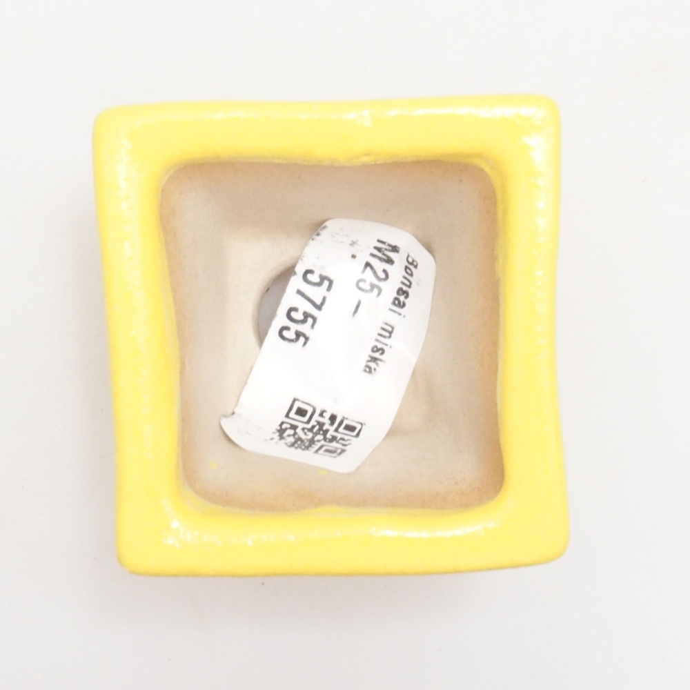 Bol à bonsaï en céramique 5 x 5 x 3,5 cm, jaune